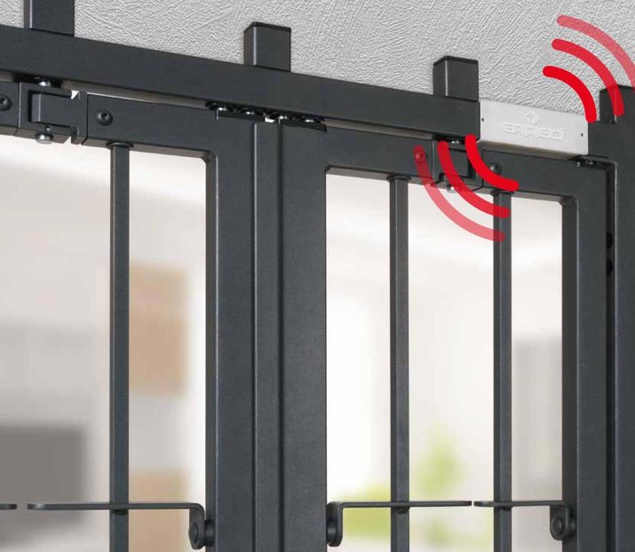 Grate di sicurezza. Azienda Erreci Sicurezza S.r.l.